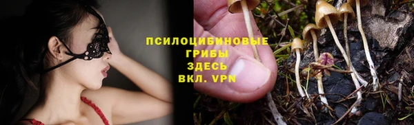 стаф Волосово