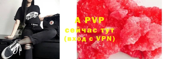 стаф Волосово