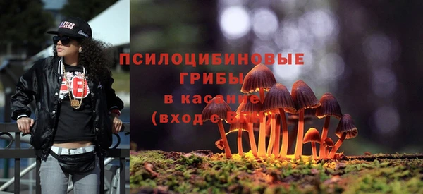 стаф Волосово